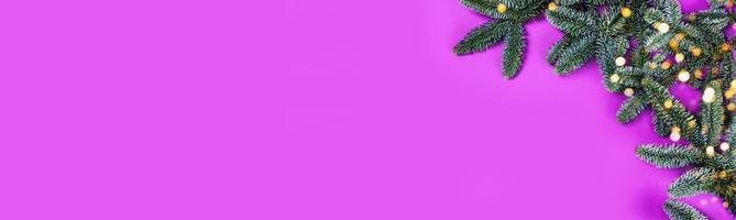 bannière violette avec des branches de sapin. photo