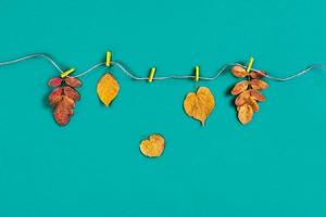 feuilles d'automne sèches fixées avec des pinces à linge sur la corde. photo