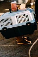 homme avec un chat domestique dans une cage de transport pour animaux de compagnie voyageant dans la rue photo