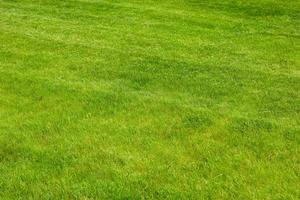 pelouse de jardin parfaitement et fraîchement tondue en été. vue rapprochée de l'herbe verte, texture de fond naturelle. herbe taillée, champ. photo