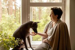 belle femme d'âge moyen assise sur le rebord de la fenêtre avec son chien. Femme de 50 ans passant du temps avec son chien sans poils mexicain à la maison. xoloitzquintle, race xolo. chien comme meilleur ami, membre de la famille. photo