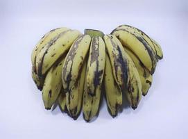 mise à plat d'une banane latundan biologique alias tundan, banane de soie, pisang raja sereh, banane manzana ou banane pomme photo