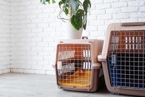 coin pour animaux de compagnie porte-animaux en plastique ou cage pour animaux de compagnie avec étui de voyage jaune sur le sol à la maison photo