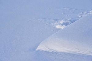 une couche uniforme de neige fraîche en hiver. belle neige fraîche l'après-midi. photo