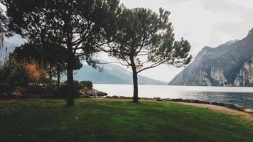 belle vue sur un lac de montagne au début de l'automne, pins à feuilles persistantes, herbe verte sur les rives de l'incroyable lac de garde en italie photo