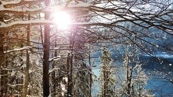 forêt d'hiver au bord du lac de montagne bleu, le soleil brille à travers les branches d'arbres nus photo