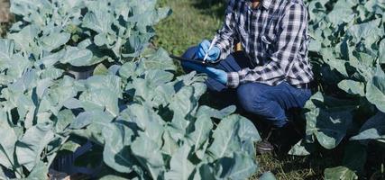 un homme d'affaires futuriste cultive des légumes et des cultures à l'aide de la technologie ai moderne utilisant des téléphones portables, des capteurs de température et d'humidité, le suivi de l'eau, le contrôle du climat, des icônes de données de données holographiques. photo