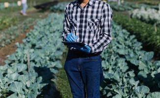 un homme d'affaires futuriste cultive des légumes et des cultures à l'aide de la technologie ai moderne utilisant des téléphones portables, des capteurs de température et d'humidité, le suivi de l'eau, le contrôle du climat, des icônes de données de données holographiques. photo