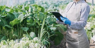 un homme d'affaires futuriste cultive des légumes et des cultures à l'aide de la technologie ai moderne utilisant des téléphones portables, des capteurs de température et d'humidité, le suivi de l'eau, le contrôle du climat, des icônes de données de données holographiques. photo