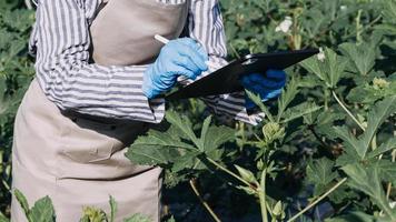 un homme d'affaires futuriste cultive des légumes et des cultures à l'aide de la technologie ai moderne utilisant des téléphones portables, des capteurs de température et d'humidité, le suivi de l'eau, le contrôle du climat, des icônes de données de données holographiques. photo