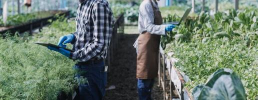 un homme d'affaires futuriste cultive des légumes et des cultures à l'aide de la technologie ai moderne utilisant des téléphones portables, des capteurs de température et d'humidité, le suivi de l'eau, le contrôle du climat, des icônes de données de données holographiques. photo