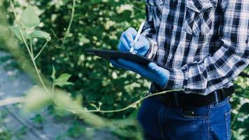 agricultrice travaillant tôt à la ferme tenant un panier en bois de légumes frais et une tablette. photo