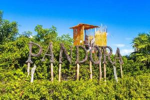 holbox quintana roo mexico 2021 chemin de randonnée sablonneux et boueux et paysage naturel holbox mexico. photo