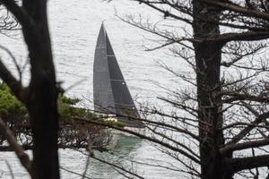 voiles noires à travers les arbres par un matin nuageux photo