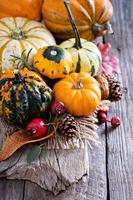 citrouilles et variété de courges photo