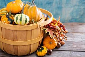 citrouilles et variété de courges photo