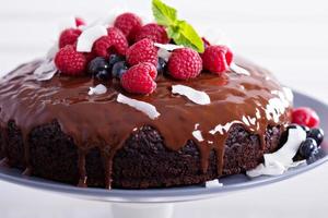 Gâteau au chocolat végétalien photo