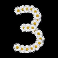 Numéro de fleur sur fond blanc photo
