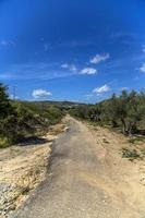 vue sur la route sicilienne photo