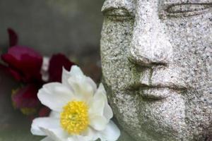 vue sur le jardin zen photo