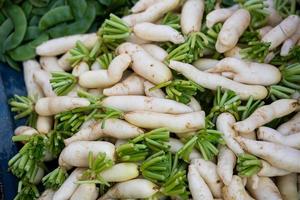 radis et légumes frais photo