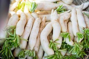 radis et légumes frais photo