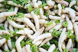 radis et légumes frais photo