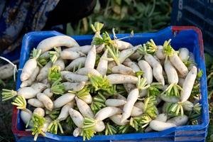 radis et légumes frais photo