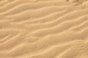texture du désert de dunes de sable photo