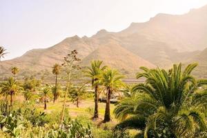 paysage sur les îles canaries photo