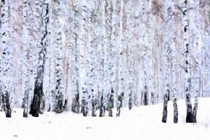 forêt de bouleaux en hiver, stylisation de la peinture à l'huile photo