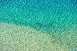 la mer adriatique en croatie photo