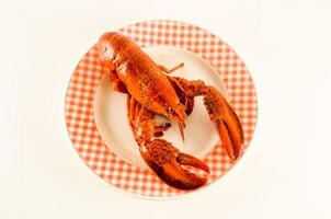 homard sur une assiette photo