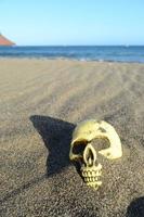 crâne sur le sable photo