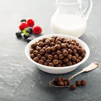 céréales au chocolat dans un bol blanc photo