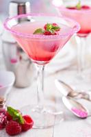 martini framboise rose photo