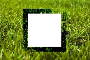 cadre d'été vide sur fond d'herbe verte, pelouse avec copie espace rendu 3d photo
