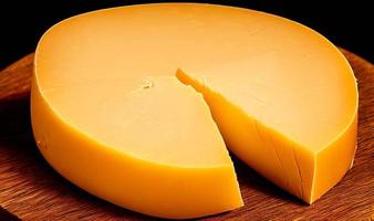 fromage. différents types de fromages délicieux. focus sélectionné, sous forme d'affiche. photo