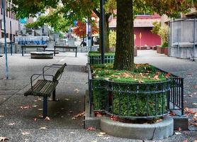 parc urbain du centre-ville avec banc photo