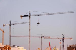 tournage de nuit de grues photo