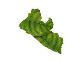 carte du libéria faite de feuilles vertes sur le concept d'écologie de fond de sol photo