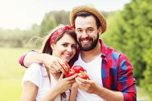 jeune couple plantant des tomates bio photo