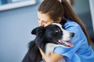 femme vétérinaire examinant un chien en clinique photo