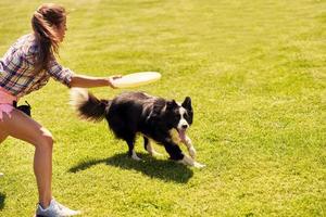 Chien border collie et une femme sur un terrain d'agilité photo