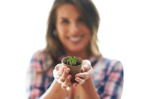 femme mûre, planter des graines en serre photo