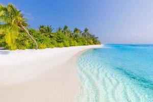 paradis exotique. concept de voyage, de tourisme et de vacances. palmiers sur le paysage de plage tropicale, complexe de luxe et mer bleue à l'infini, île des maldives. incroyable, paysage magnifique, fond de plage d'été photo