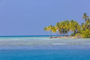 palmiers verts sur une plage de sable blanc. modèle de paysage tropical exotique, bannière de plage avec espace de copie. merveilleux concept de nature tropicale photo