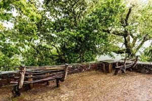 2022 08 17 banc en bois madère photo