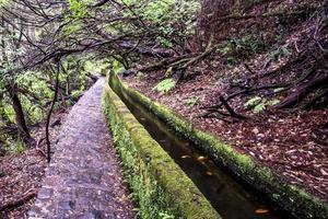 2022 08 17 madère levada 20 photo