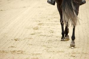 gros plan de sabots de cheval photo